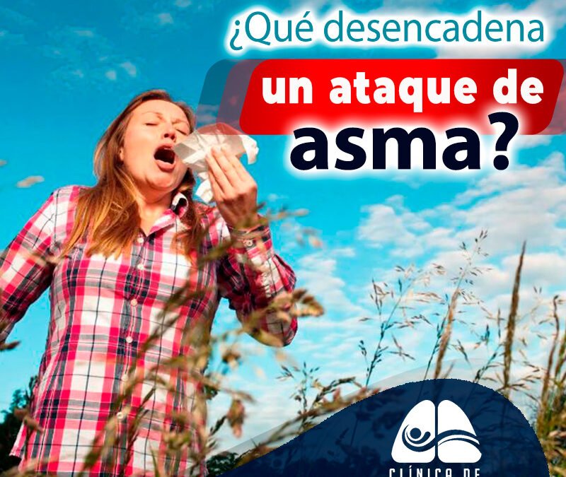 Desencadenantes de un ataque de Asma